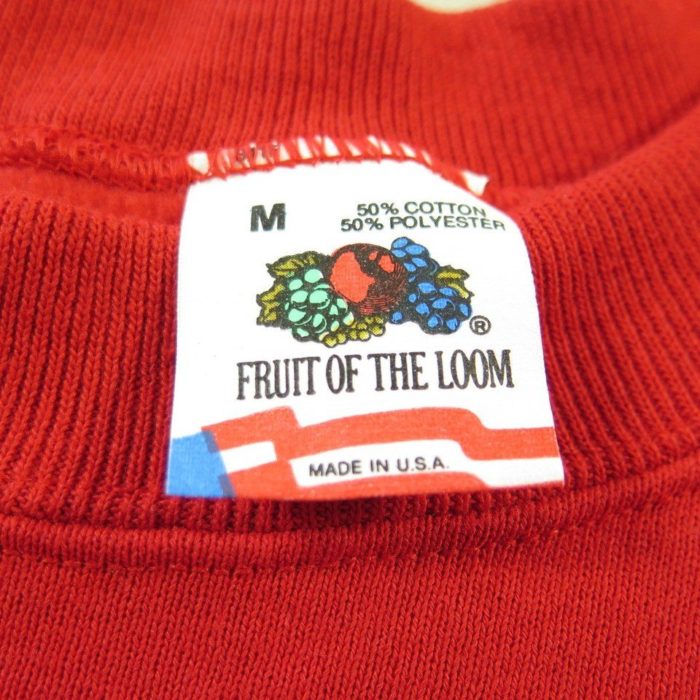 Fruit-of-the-loom-football-san-francisco-49ers-sweater-H30L-7