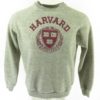 Vintage 80s Harvard Sweatshirt Mens L Tultex Gray Crest University